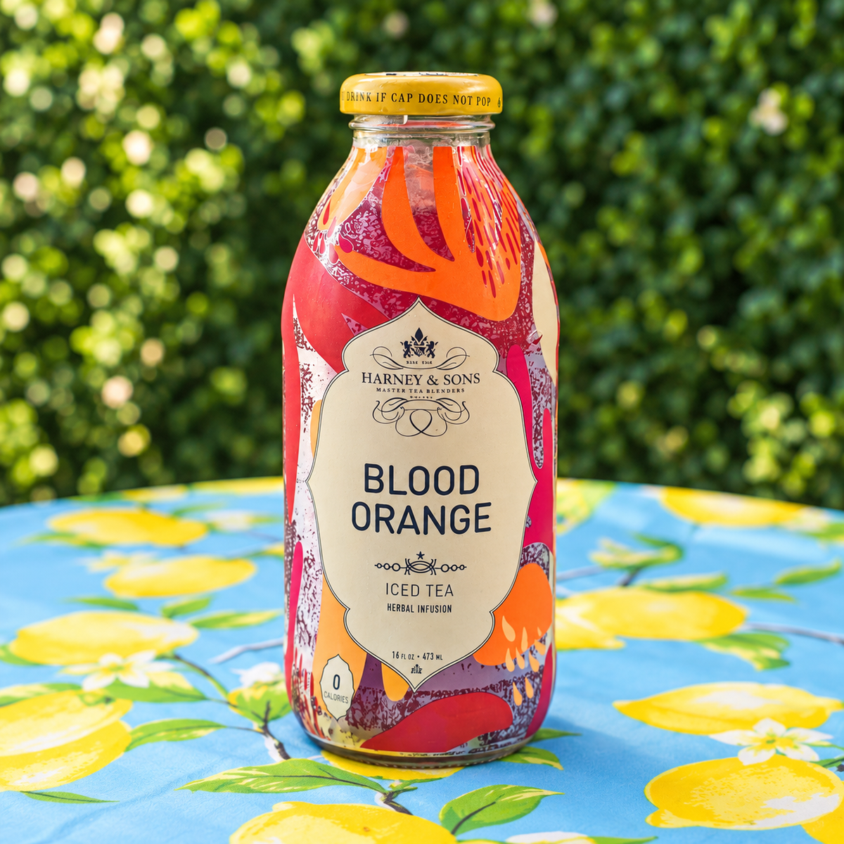Harney & Sons Blood Orange Iced Tea — 16 fl oz